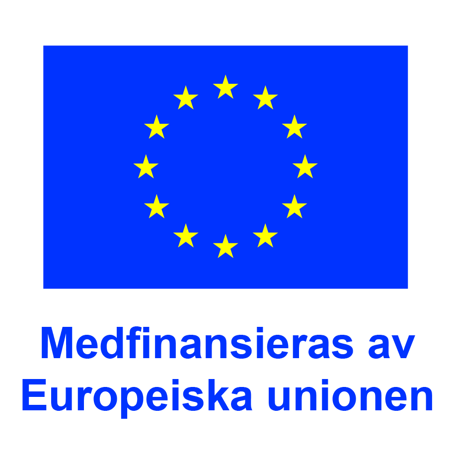 SV V Medfinansieras av Europeiska unionen_POS SV V Medfinansieras av Europeiska unionen_POS